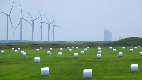 Hamazato Wind Farm (Left) and Hay Bales Video stock 332322847