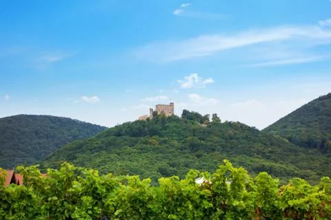 Hambach Castle Stock Photos