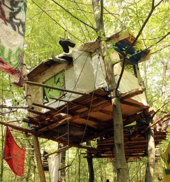 Hambach Forest Stock Photos