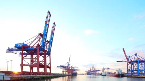 Hamburg container terminal Stock Footage 61111225