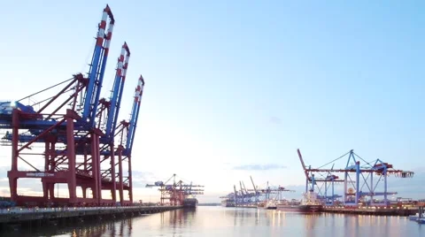 Hamburg container terminal Stock Footage 61112707