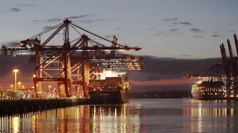 Hamburg container terminal Stock Footage 61112795