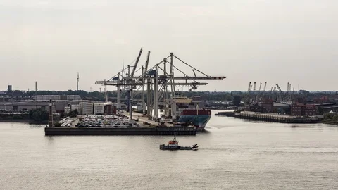 Hamburg Container Terminal time lapse Stock Footage 95722183