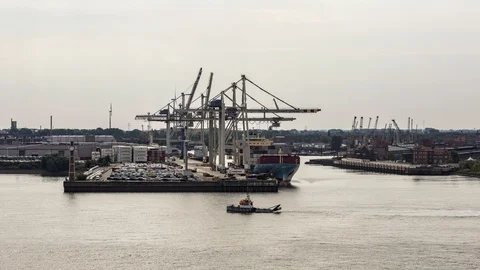 Hamburg Container Terminal time lapse Video stock 95722443