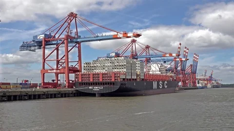 Hamburg / Germany - July 13 2017: Container gantry cranes of the terminal Stock Footage