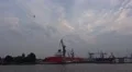 Hamburg harbor docks at evening with flying bird HD Footage
