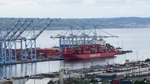 Hamburg Sud container ship docks beneath towering blue gantry cranes stacked Stock Footage 338185688