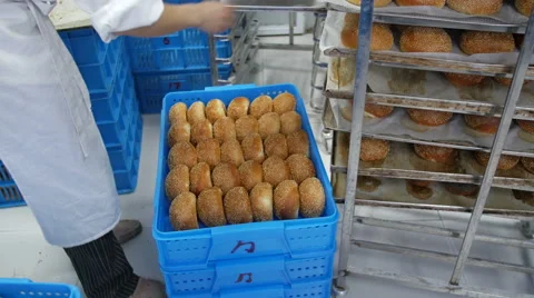 Hamburger Buns Prepped for Delivery at Bakery Stock Footage 51344589