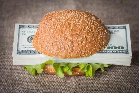 Hamburger with dollar bank notes Stock Photos