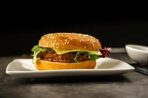Hamburger - fast but not very healthy food Stock Photos