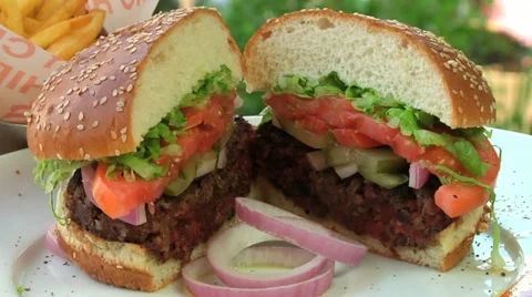 Hamburger Stock Footage 10921824
