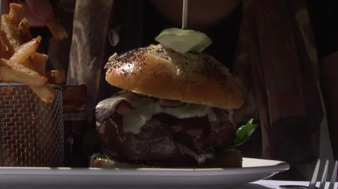 Hamburger Vídeo Stock 29249610