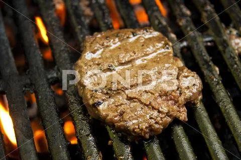 Hamburger Grilling Stock Photos