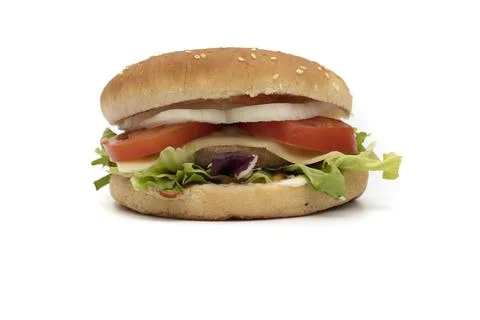 A hamburger Foto stock