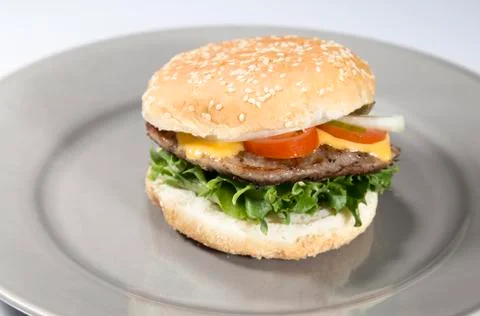 Hamburger on Plate Foto stock