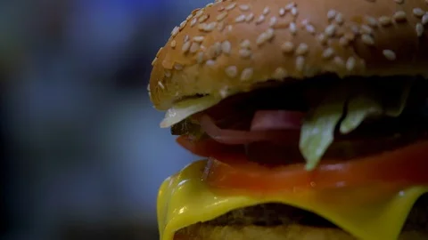 The Hamburger rotates Stock Footage 95054812