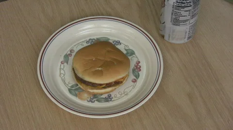 Hamburger2 Video stock 327402