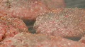 Hamburgers on Grill Zoom Out HD Footage