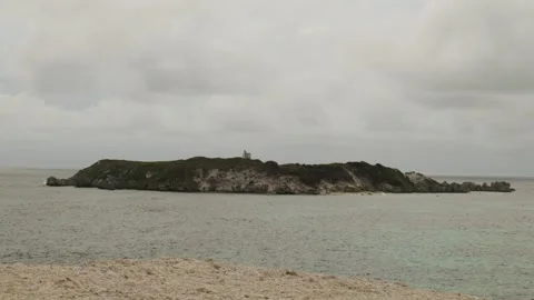 Hamelin Island 動画素材 305523066