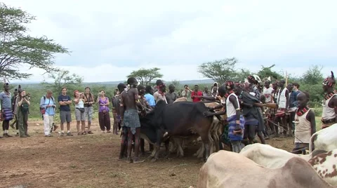 Bashada Tribe Woman Whipped During A Bull Jumping Ceremony, Dimeka