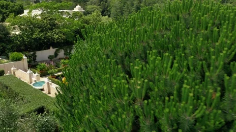 Hamilton Gardens (Drone) Vídeos de archivo 86834920