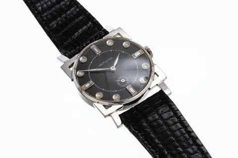 Hamilton 写真素材