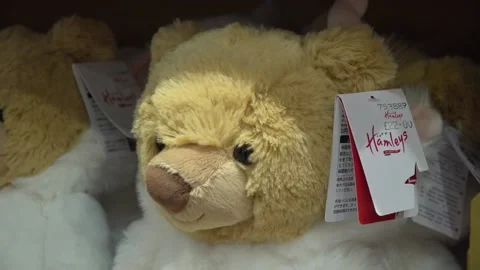 Hamleys announces top ten toys for Stock Video Pond5