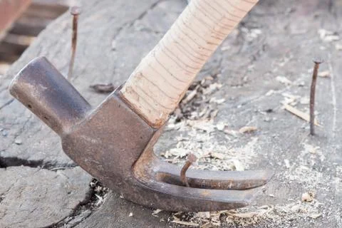 Hammer and nails Close Up. Foto stock