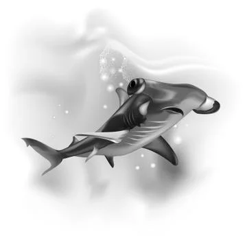 Hammer fish black white Stock Illustration