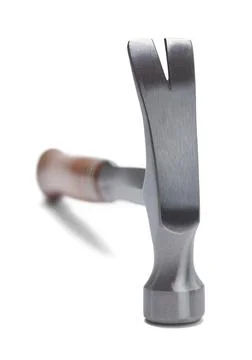 Hammer Head Stock Photos