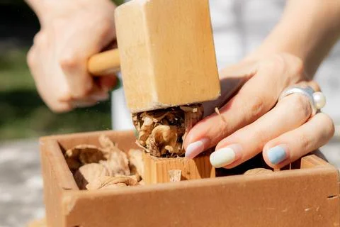 Hammer nutcracker Stock Photos