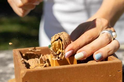 Hammer nutcracker Stock-Fotos