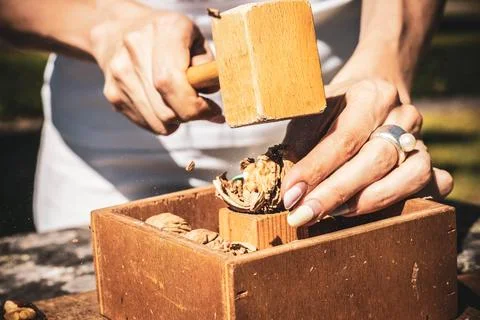 Hammer nutcracker Stock Photos