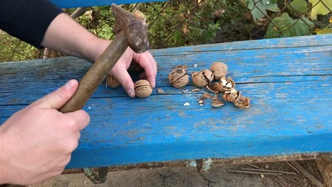 Hammer splits walnuts. 動画素材 96864230