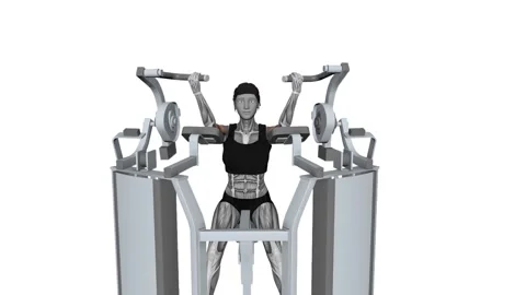 Hammer Strength MTS Iso-Lateral Biceps Curl Both Arm Female fitness exercise Video stock 258821486
