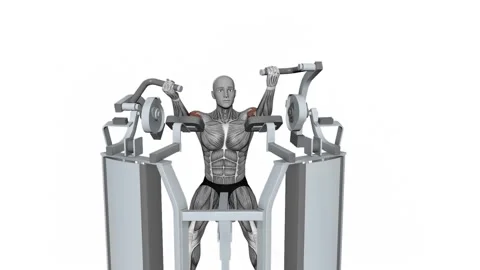 Hammer Strength MTS Iso-Lateral Biceps Curl Arm Alternating fitness exercise Video stock 258821579