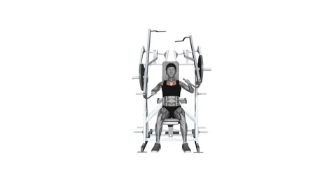 HAMMER STRENGTH Plate-Loaded Combination Iso-Lateral Chest - Chest Press Sin Vídeos de archivo 258821504
