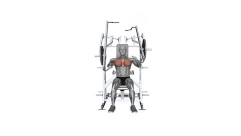 HAMMER STRENGTH Plate-Loaded Combination Iso-Lateral Chest - Chest Press Alt 動画素材 258821590