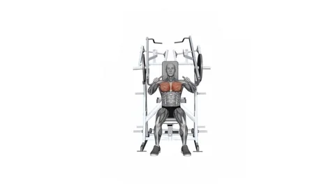 HAMMER STRENGTH Plate-Loaded Combination Iso-Lateral Chest - Chest Press fit Stockbeeldmateriaal 258821591