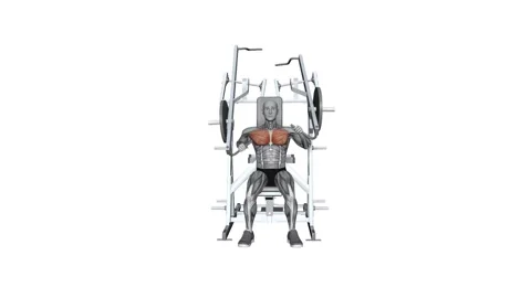 HAMMER STRENGTH Plate-Loaded Combination Iso-Lateral Chest - Chest Press Sin 動画素材 258821592