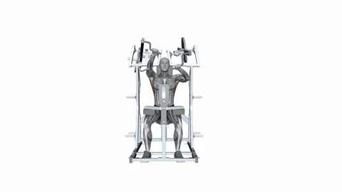 Hammer Strength Plate Loaded High Row Single Arm fitness exercise workout an Vidéo 258821589