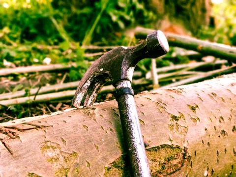 Hammer in Wood Log Stock Photos