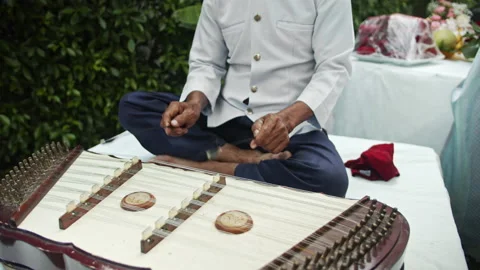 Hammered Dulcimer Stock Footage 196975542