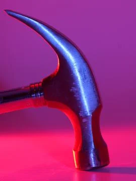 Hammerhead Stock Photos