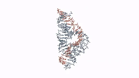 Hammerhead ribozyme, rotating ball-and-stick model Stock Footage 73040286