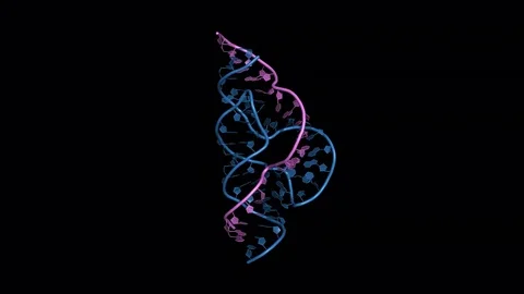 Hammerhead ribozyme, rotating cartoon model Stock Footage 73039930