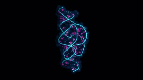 Hammerhead ribozyme, rotating cartoon model with transparent surface Stock Footage 73040081