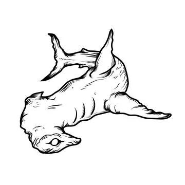 Hammerhead shark Stock Illustration