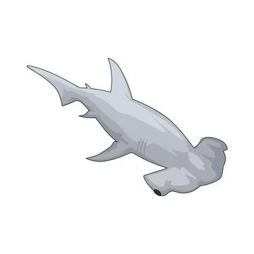 Hammerhead shark illustration Stock Illustration