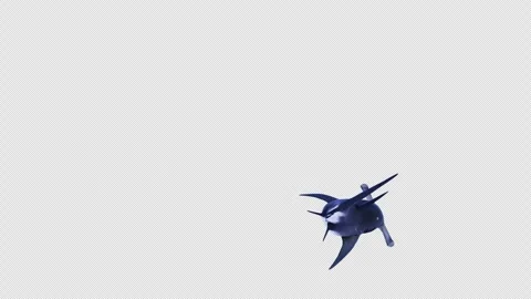 Hammerhead Shark Swimming  Stock Footage 314675588